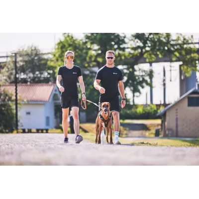 Sele Rock Harness svart, bilde 9