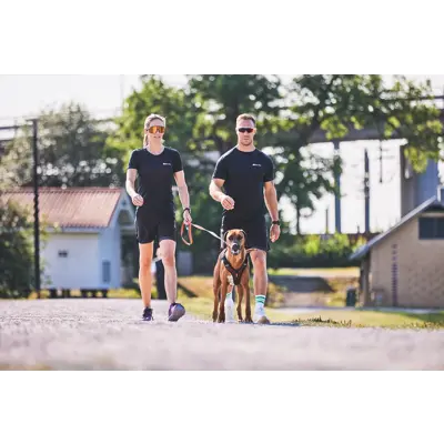 Sele Rock Harness svart, bilde 9