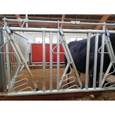 Sikkerhetsfangfront HLS50