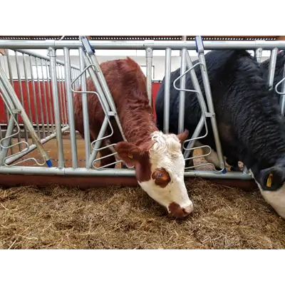 Sikkerhetsfangfront HLS50, bilde 2