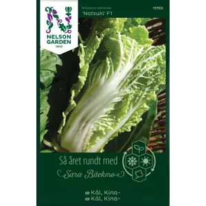 Frø kinakål Natsuki