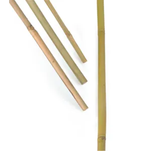 Bambusstaver 120 cm 5 pk