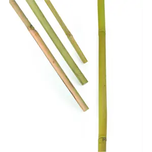 Bambusstaver 120 cm 5 pk