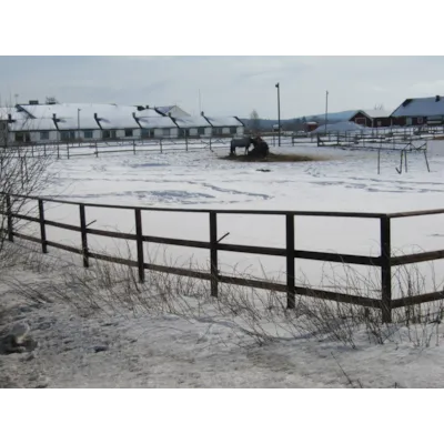 Gjerdestolper impregnert 8x250 cm 81 stk, bilde 3