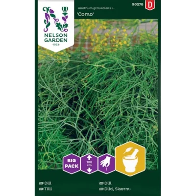 Frø dill Como Big Pack
