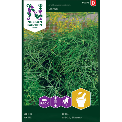 Frø dill Como Big Pack
