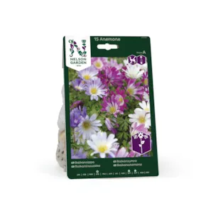 Høstløk balkansymre