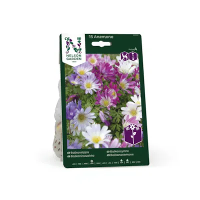 Høstløk balkansymre