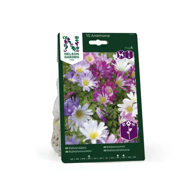 Høstløk balkansymre