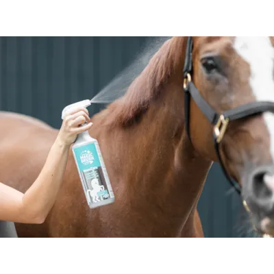 Pelsglans Mane and Shiny 1 L, bilde 2