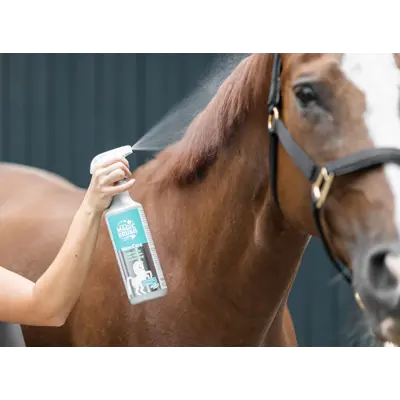 Pelsglans Mane and Shiny 1 L, bilde 2