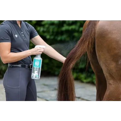 Pelsglans Mane and Shiny 1 L, bilde 3