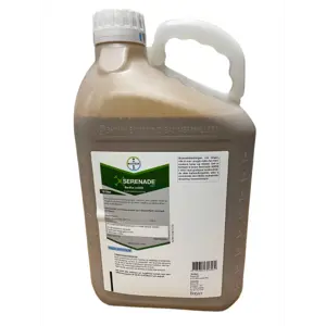 Serenade ASO 10 L