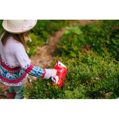 Bærplukker for barn med revedesign, bilde 5