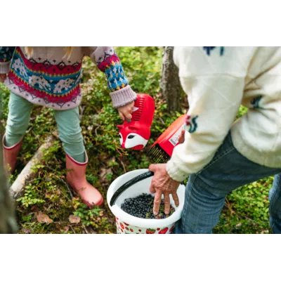 Bærplukker for barn med revedesign, bilde 7
