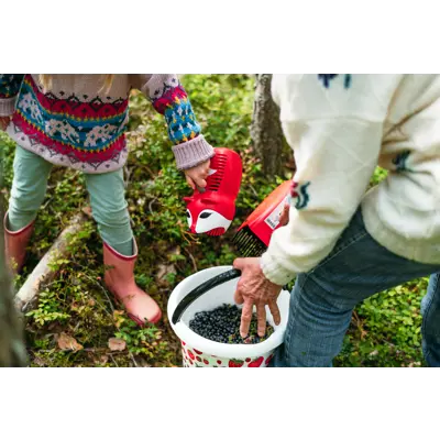 Bærplukker for barn med revedesign, bilde 7