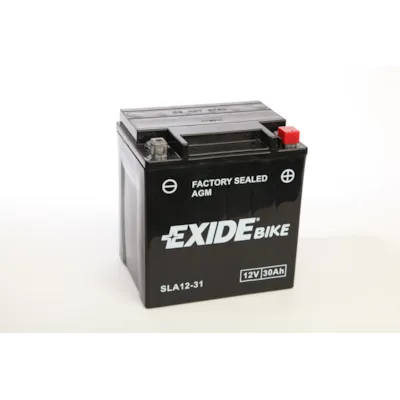 MC batteri AGM 12-31