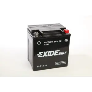 MC batteri AGM 12-31