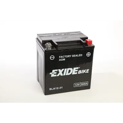 MC batteri AGM 12-31