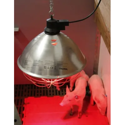 Husdyrarmatur 250W, bilde 2