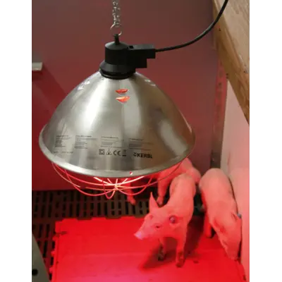 Husdyrarmatur 250W, bilde 2