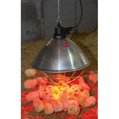 Husdyrarmatur 250W, bilde 3