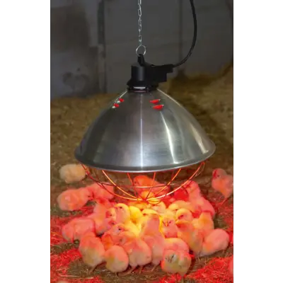 Husdyrarmatur 250W, bilde 3