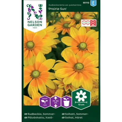 Frø sommersolhatt Praire Sun, bilde 2