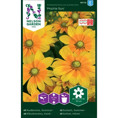 Frø sommersolhatt Praire Sun, bilde 2