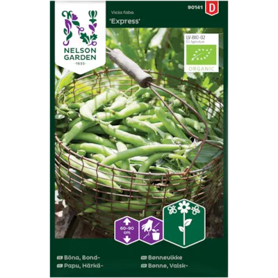 Frø bønnevikke Express økologisk
