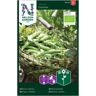 Frø bønnevikke Express økologisk