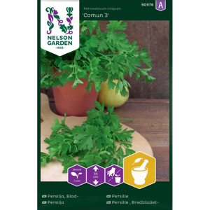 Frø persille Comun 3