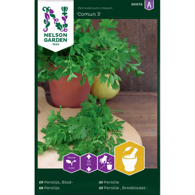 Frø persille Comun 3