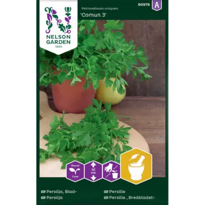 Frø persille Comun 3