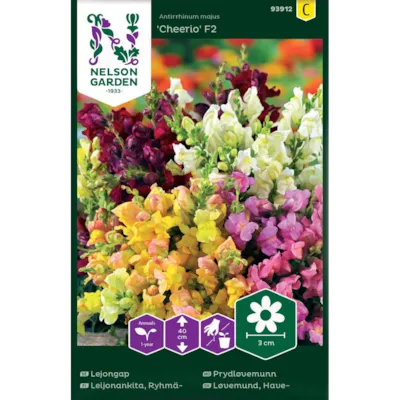 Frø prydløvemunn Cheerio