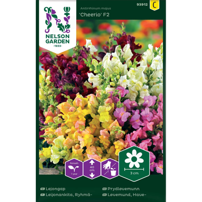 Frø prydløvemunn Cheerio