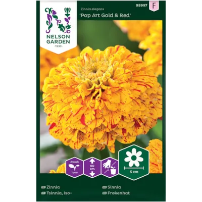 Frø sinnia Pop Art Gold & Red