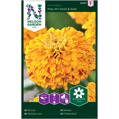 Frø sinnia Pop Art Gold & Red