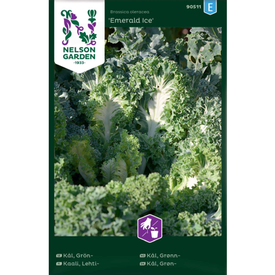 Frø grønnkål Emerald Ice