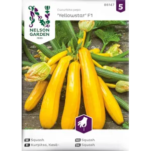 Frø squash Yellowstar økologisk
