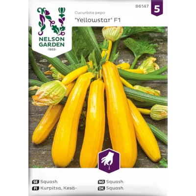 Frø squash Yellowstar økologisk