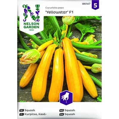 Frø squash Yellowstar økologisk