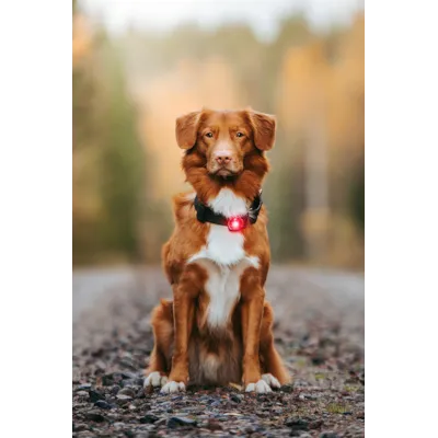 Sikkerhetslys rød, bilde 3