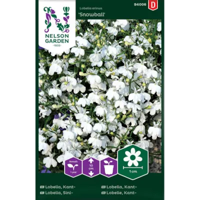 Frø kantlobelia Snowball