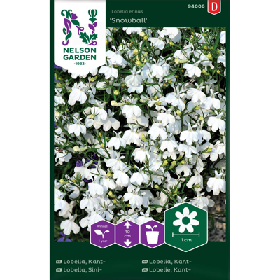 Frø kantlobelia Snowball
