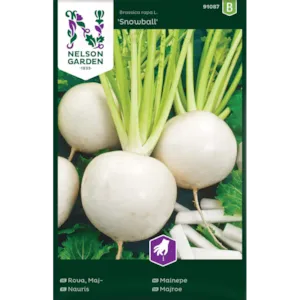 Frø mainepe Snowball