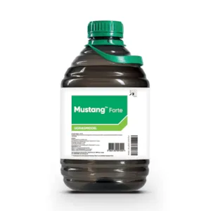 Mustang Forte 5 L
