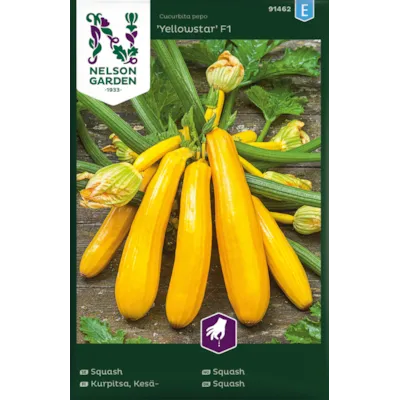 Frø squash Yellowstar