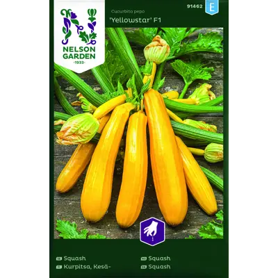 Frø squash Yellowstar