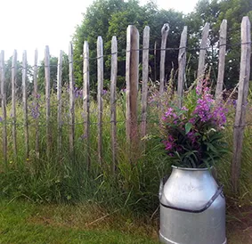 Kastanjegjerde rull à 1,5x5 m